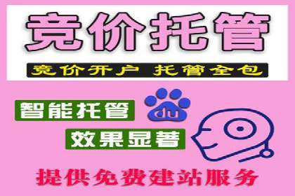 行业领先：百度竞价托管外包成功案例分析
